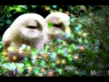 zeebeems