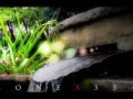 zonex354
